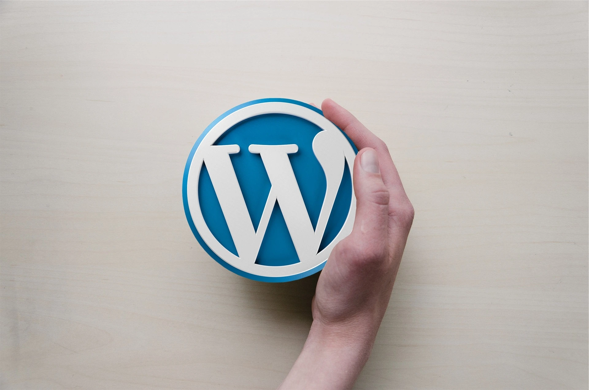 What’s the Most Critical Component on a WordPress Site?